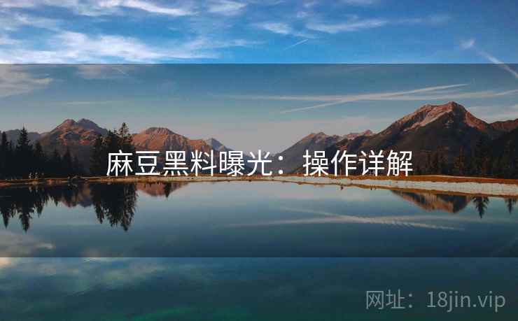 麻豆黑料曝光：操作详解